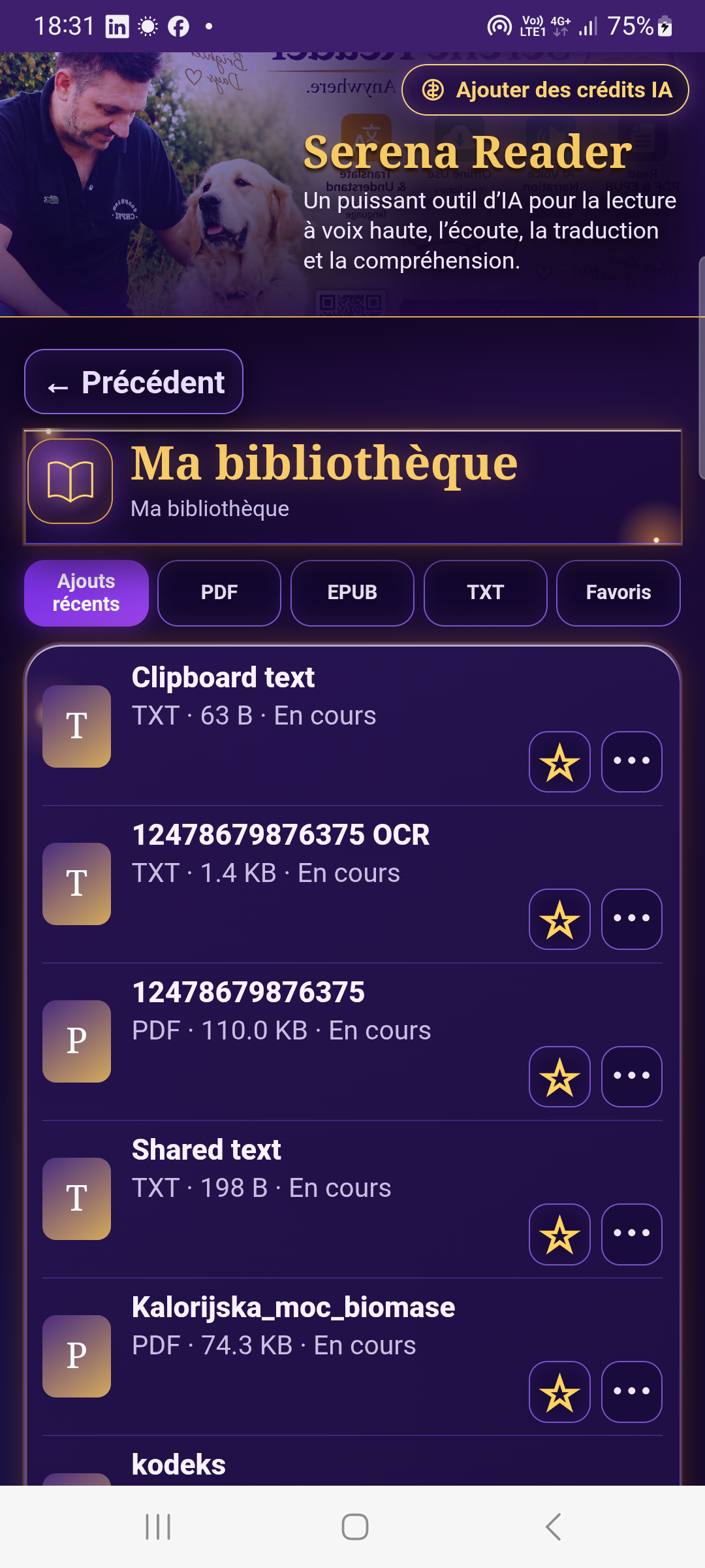 Écran réel Serena Reader 3.0.9 dans cette langue d'interface sur un téléphone Samsung Android.